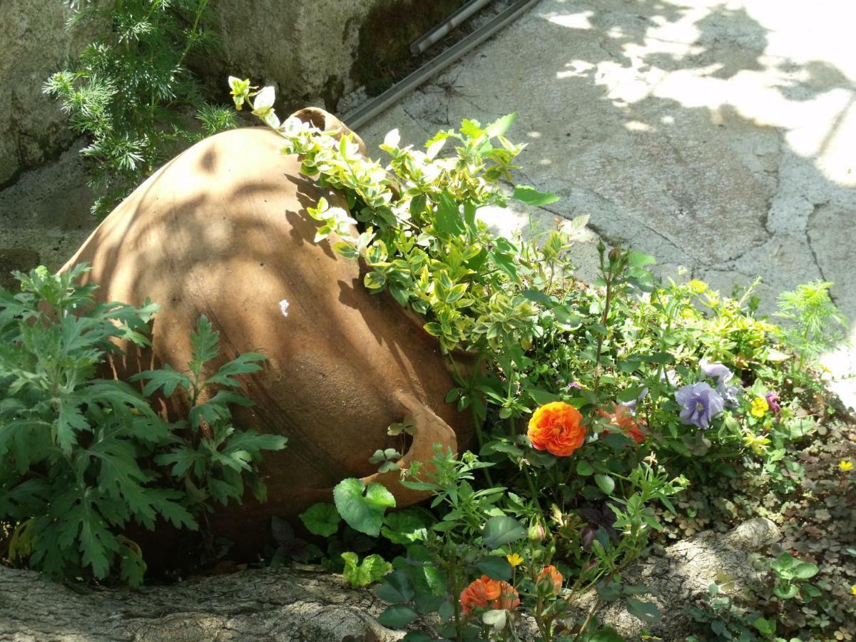Bakalnitsa Trakiya Otel Popovets Dış mekan fotoğraf